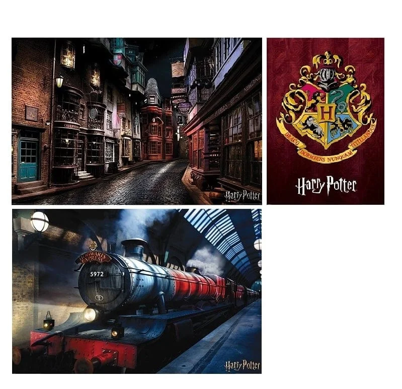 Display Maxi Posters Harry Potter X60