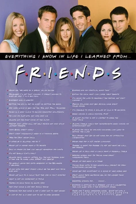 Friends - Everything I Know... Maxi Poster