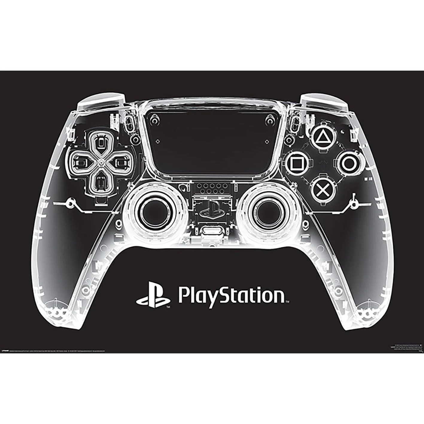 PL 17 - PlayStation (X-Ray Pad) - Maxi Poster 91x61cm