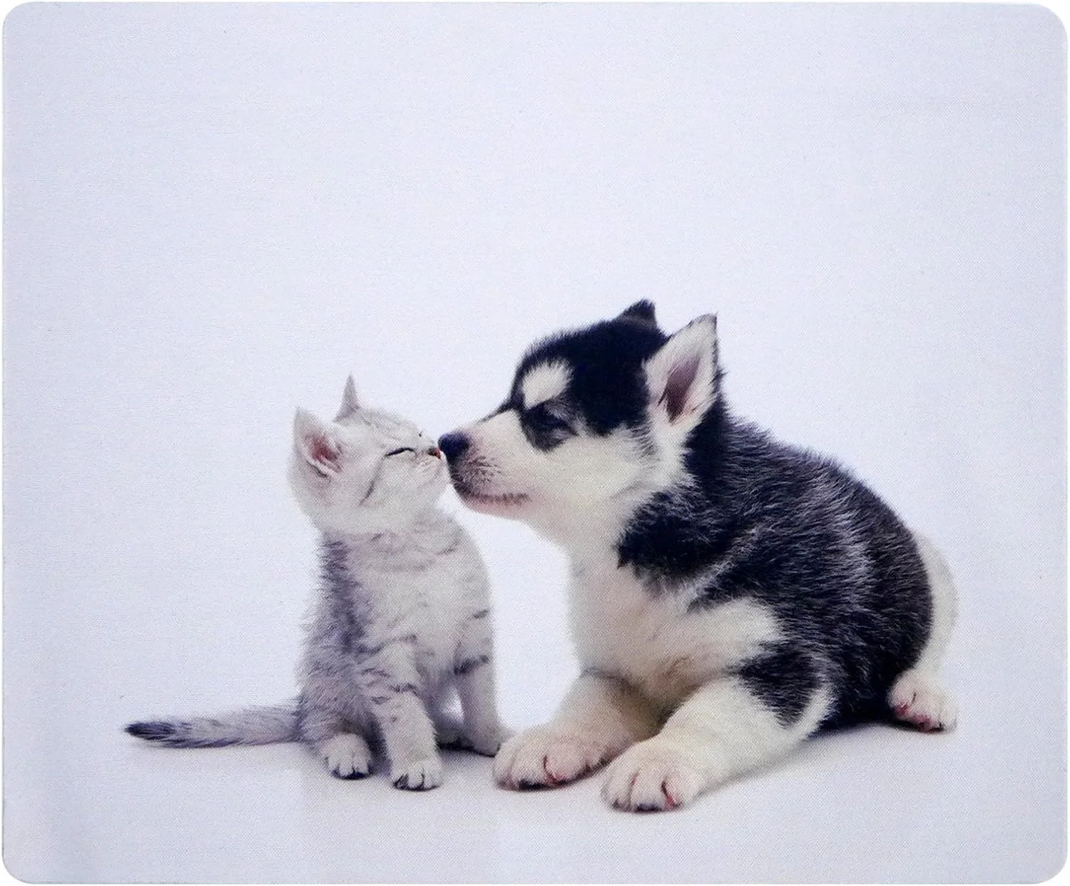 WASDkeys - XS Gaming Muismat - Model Kat en Hond - 230x190mm