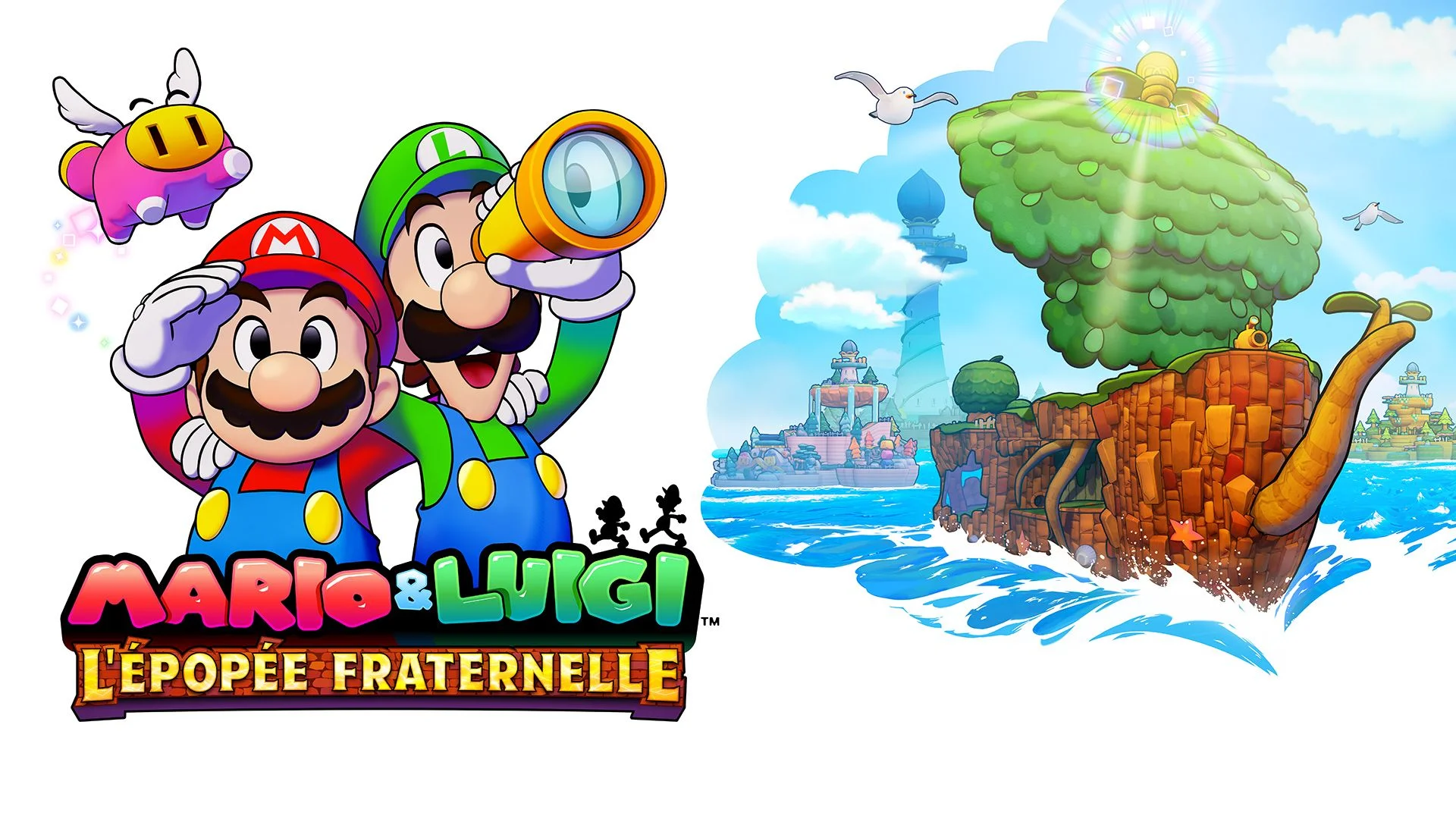 Mario & Luigi : L'épopée fraternelle - Nintendo Switch versie thumbnail